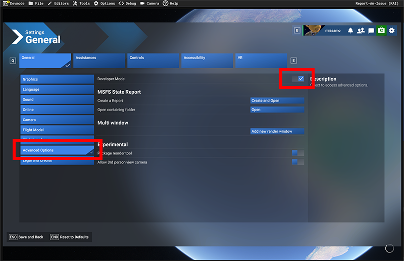 Screenshot of Microsoft Flight Simulator 2024 settings with the Advanced Options section and Developer Mode option highlighted.